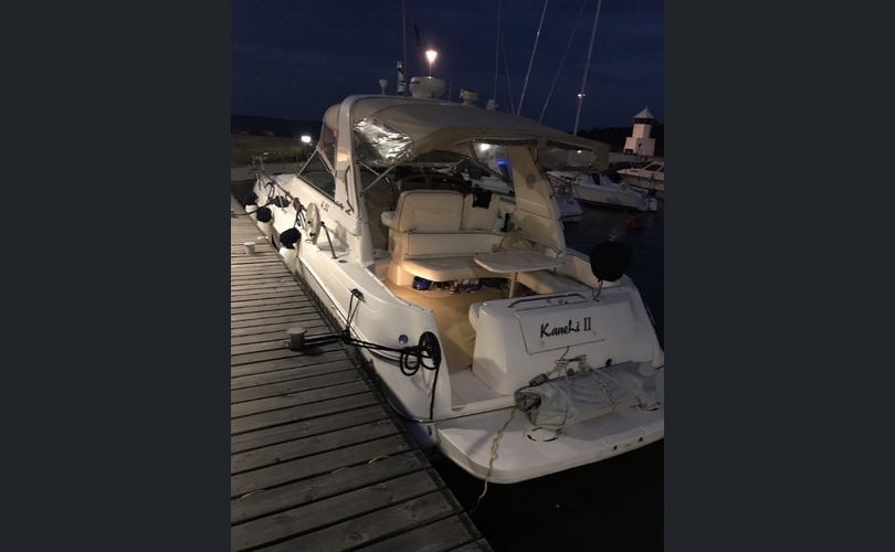 Sea Ray 310-kuva-6